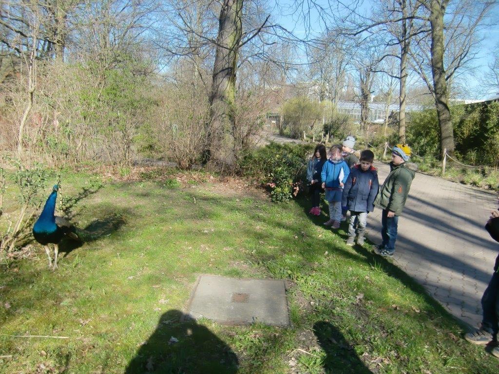 Frühling im Zoo (6)