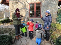 Futter für die Vögel im Winter (11)