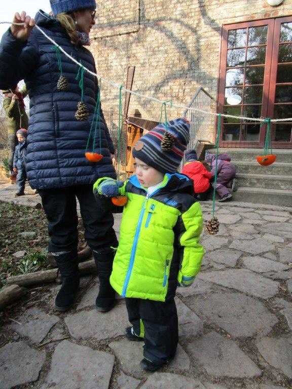 Futter für die Vögel im Winter (12)