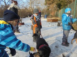 Hundebesuch im Zookindergarten (81)