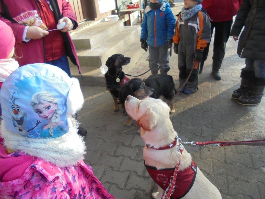 Hundebesuch im Zookindergarten (84)