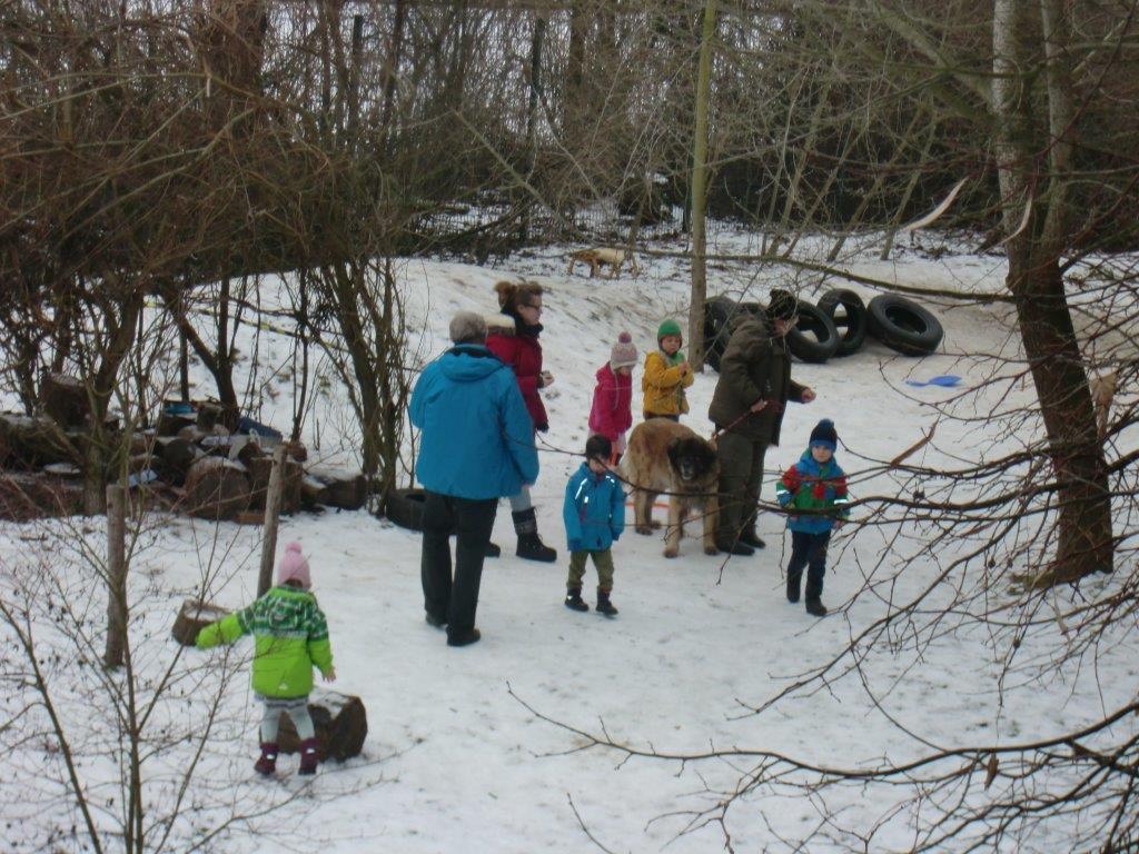 Hundebesuch im Zookindergarten (2)